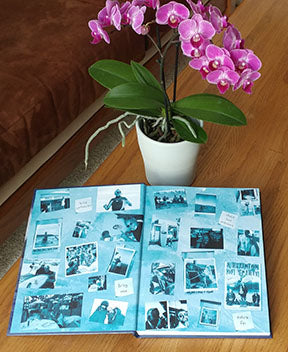 Morning Glass by Mike Doyle