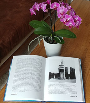 Morning Glass by Mike Doyle